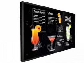 philips 55 - Philips 55BDL3117P/00 - 2 nuotrauka