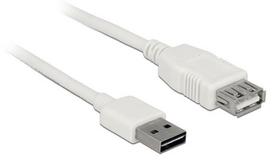 Delock Cable USB / USB 1m White