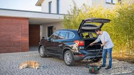 akumuliatorius siurbliui bosch 18v -  Bosch Advanced Vac 18V-8 - 7 nuotrauka