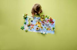lego duplo - LEGO DUPLO Laukiniai pasaulio gyvūnai 10975  - 8 nuotrauka
