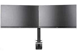 vesa mount - Iiyama DS1002C-B1 - 4 nuotrauka