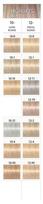 igora dazai - Schwarzkopf Professional Igora Royal Highlifts profesionalūs plaukų dažai 60 ml. - 12-11 Super Intense Ash - 2 nuotrauka