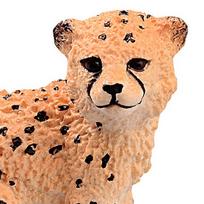 figureles gyvunu - Schleich Cheetah Cub 14747 - 5 nuotrauka