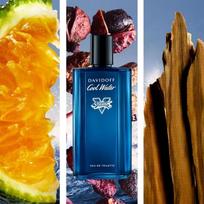 street fighter - Davidoff Cool Water Street Fighter Champion Summer Edition 125ml EDT - 3 nuotrauka