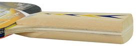 ping pongo stalas - Donic Appelgren 300 Ping Pong Racket - 2 nuotrauka