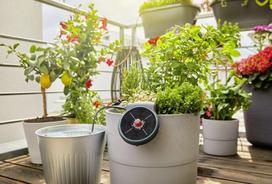 gardena laistymo - Gardena Solar-powered Irrigation AquaBloom Set - 4 nuotrauka