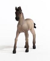 schleich horse - Žaislinė figūrėlė Schleich Criollo Definitivo Foal 13949 - 4 nuotrauka