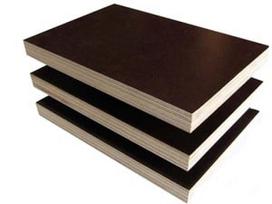 osb plokstes - Fanera, 250 cm x 125 cm x 12 mm - 2 nuotrauka