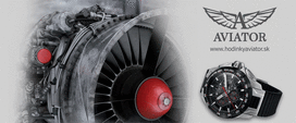 aviator laikrodis - AVIATOR M.2.19.5.134.6 - 4 nuotrauka