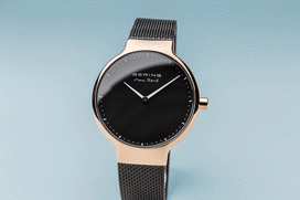 BERING 15531-262