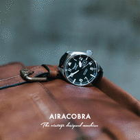 airacobra p42 - AVIATOR V.1.22.0.148.4 - 4 nuotrauka