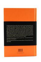 romain gary - Karaliaus Saliamono baimės - 3 nuotrauka