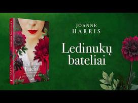 joanne harris - Ledinukų bateliai - 2 nuotrauka