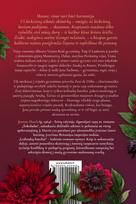 joanne harris - Ledinukų bateliai - 3 nuotrauka