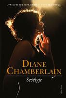 diane chamberlain - Šešėlyje - 1 nuotrauka