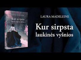 laura madeleine - Kur sirpsta laukinės vyšnios - 3 nuotrauka