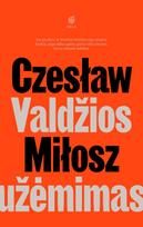 Valdžios užėmimas
