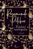 Žiemos saulėgrįža