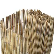 Sodo nendrių tvora, 500x125cm