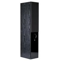 akustinis kabelia - Wilson RAPTOR 7 Black Grindinė kolonėlė - 6 nuotrauka