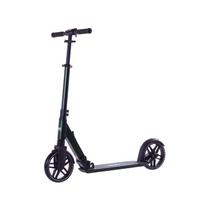 paspirtukas scooter - Rideoo 200 City Scooter Green (Žalias) - 1 nuotrauka