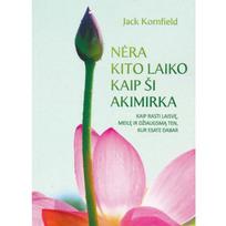 NĖRA KITO LAIKO KAIP ŠI AKIMIRKA
