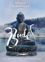 Pelenų barstymas ant Budos. Zen meistro Sung Sano mokymas