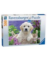 auksaspalvio retriveris - Ravensburger Puzzle Sweet Golden Retriever 500pcs 14829 - 1 nuotrauka