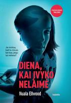 Diena, kai įvyko nelaimė