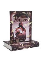 j.k. rowling - Haris Poteris ir Netikras Princas. 6 dalis - 4 nuotrauka