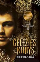 Geležies karys