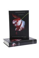 stephenie meyer - Jaunatis (2021) - 3 nuotrauka