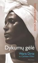 Abramovičius: milijardierius iš niekur