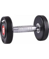 Gumuotas hantelis inSPORTline PRO 2kg