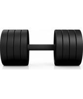gumuoti hanteliai - Gumuotas hantelis Marbo - 32,5 kg, juodas - 2 nuotrauka