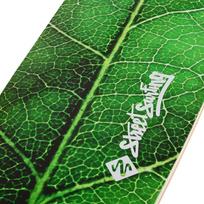 longboard - Street Surfing Fishtail-The Leaf 42" - 6 nuotrauka