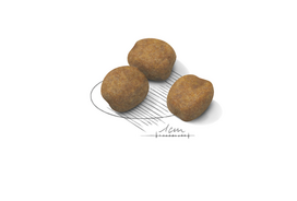 sausas maistas sunims 15kg - Royal Canin Giant Puppy 15 kg - 2 nuotrauka