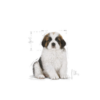sausas maistas sunims 15kg - Royal Canin Giant Puppy 15 kg - 3 nuotrauka