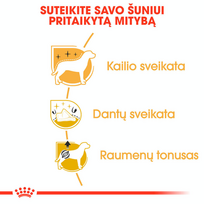 pudelis - Royal Canin Poodle Adult 1,5 kg - 6 nuotrauka