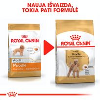 pudelis - Royal Canin Poodle Adult 1,5 kg - 8 nuotrauka