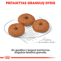 royal canin mini 12 ageing - Royal Canin Mini Ageing 12 1.5 kg - 4 nuotrauka