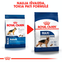 royal canin medium adult - Royal Canin Maxi Adult 4 kg - 6 nuotrauka