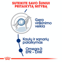 royal canin medium adult - Royal Canin Maxi Adult 4 kg - 7 nuotrauka