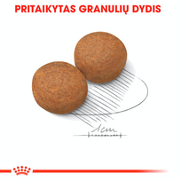 royal canin medium adult - Royal Canin Maxi Adult 4 kg - 8 nuotrauka