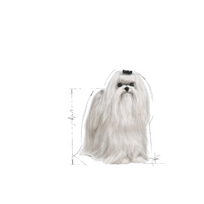 sunu maistas - Royal Canin Maltese Adult 1.5 kg - 2 nuotrauka