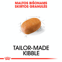 sunu maistas - Royal Canin Maltese Adult 1.5 kg - 3 nuotrauka