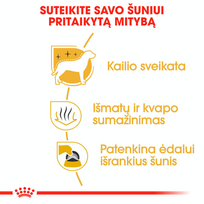 sunu maistas - Royal Canin Maltese Adult 1.5 kg - 5 nuotrauka