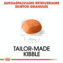 auksaspalvio retriveris - Royal Canin golden Retriever Junior 12 kg - 4 nuotrauka