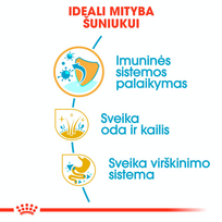 auksaspalvio retriveris - Royal Canin golden Retriever Junior 12 kg - 5 nuotrauka