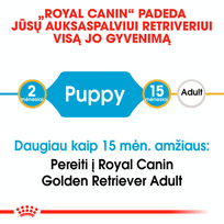 auksaspalvio retriveris - Royal Canin golden Retriever Junior 12 kg - 6 nuotrauka